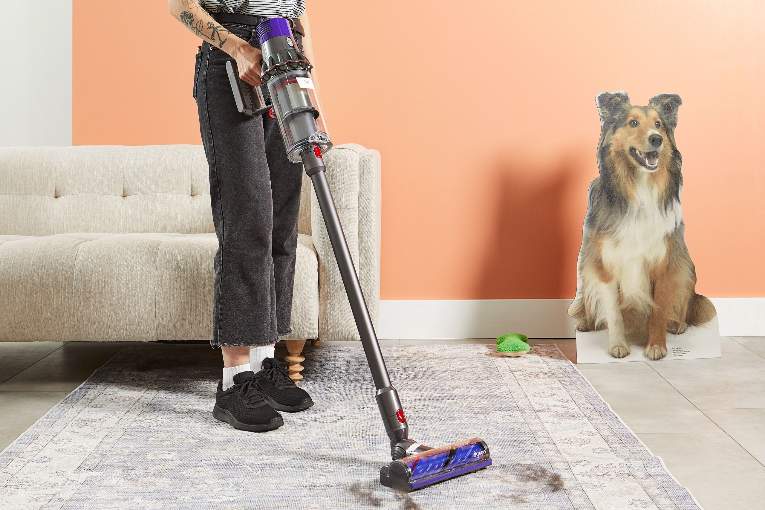 Top Rated Vacuum for Dog Hair