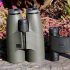 Great Binoculars for Bird Watching