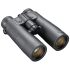 Binoculars Which are Best